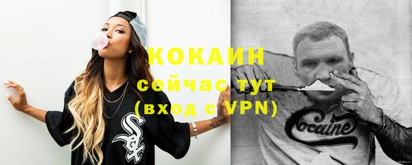 гашик Сосновка
