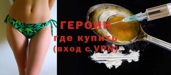 твердый Гусев