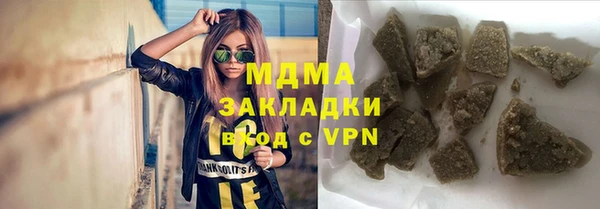 твердый Гусев