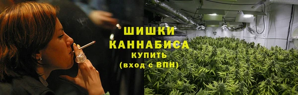 стафф Горнозаводск