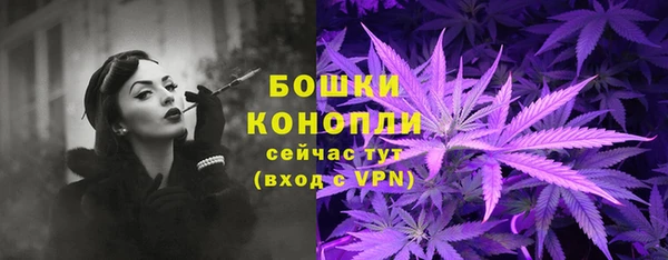 твердый Гусев