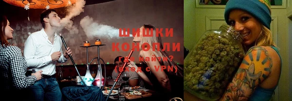 бошки Горняк