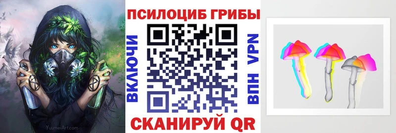 Псилоцибиновые грибы Psilocybine cubensis  Губаха 
