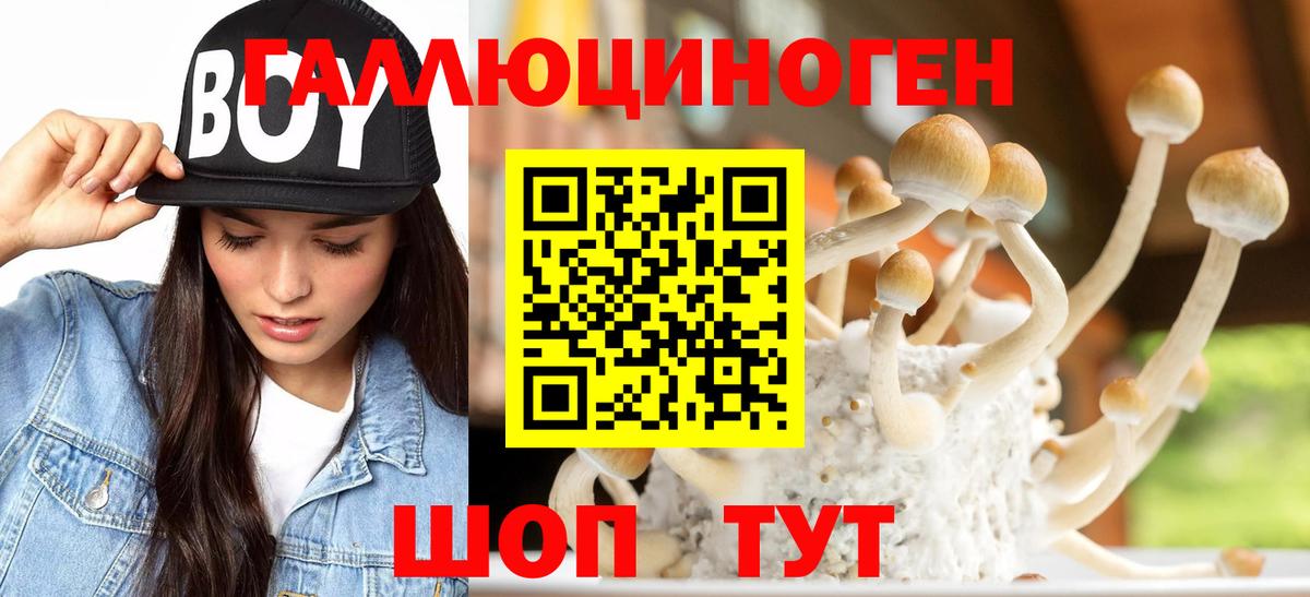 Губаха  Галлюциногенные грибы GOLDEN TEACHER  магазин продажи наркотиков  Вход с VPN 